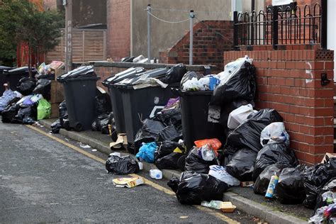 sheffield bin collections today.